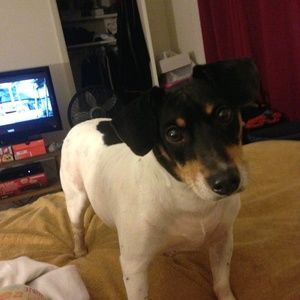 Meet your Posher, Suzanne